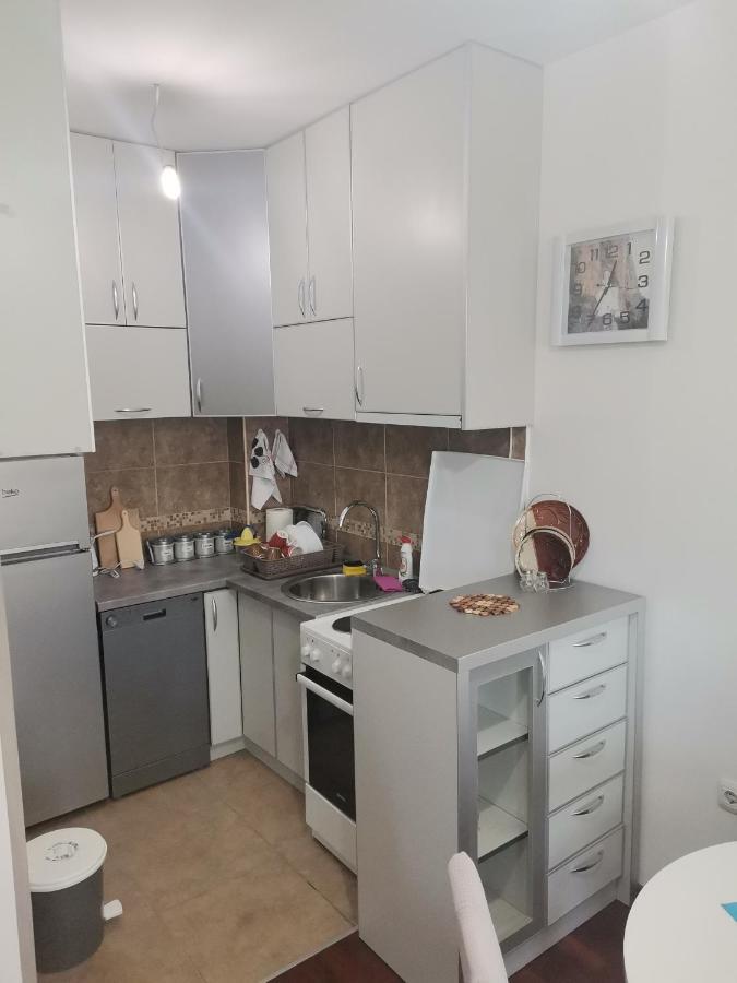 Dimitrije Apartment Žabljak Eksteriør bilde